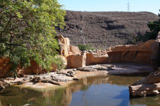 GC-Crocodilo Park 2020-036.JPG